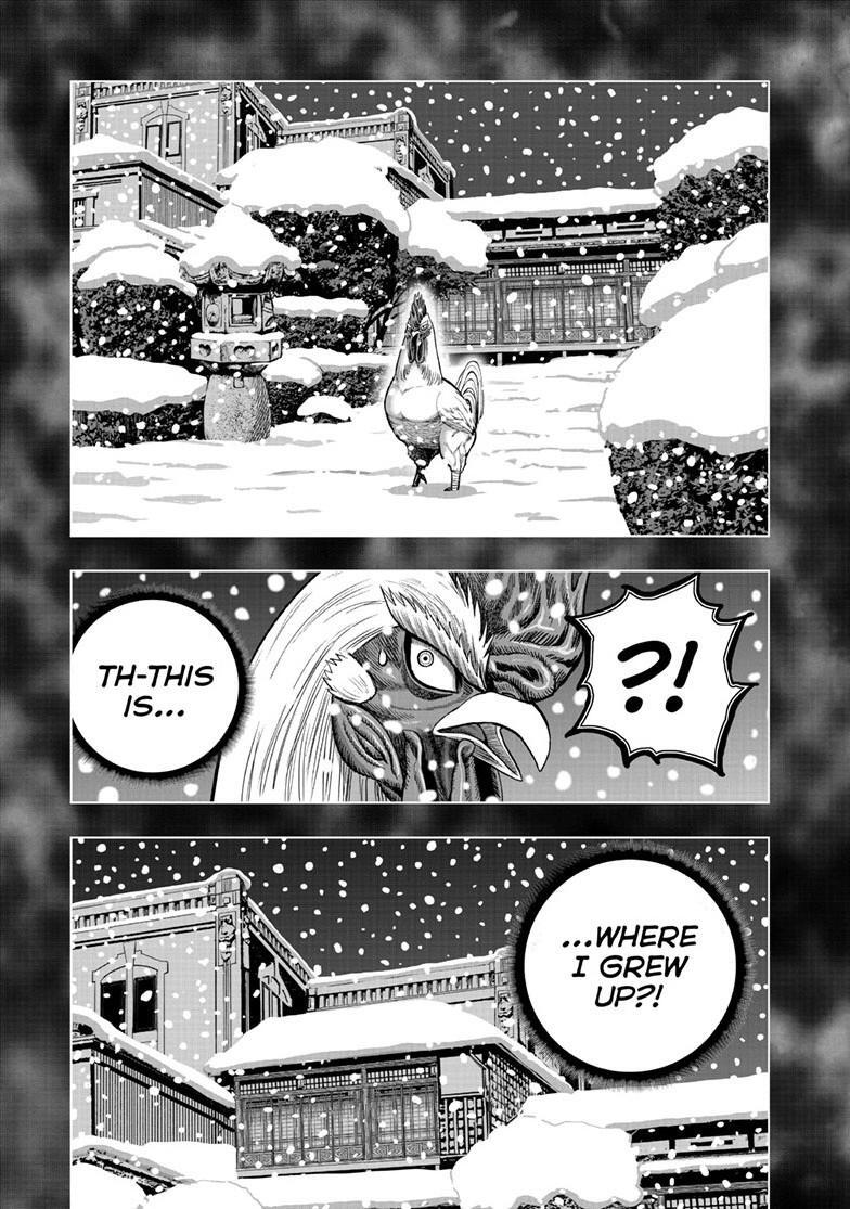 Read Rooster Fighter Manga Online