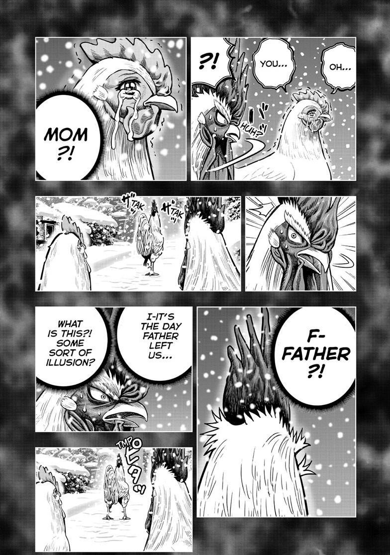 Read Rooster Fighter Manga Online