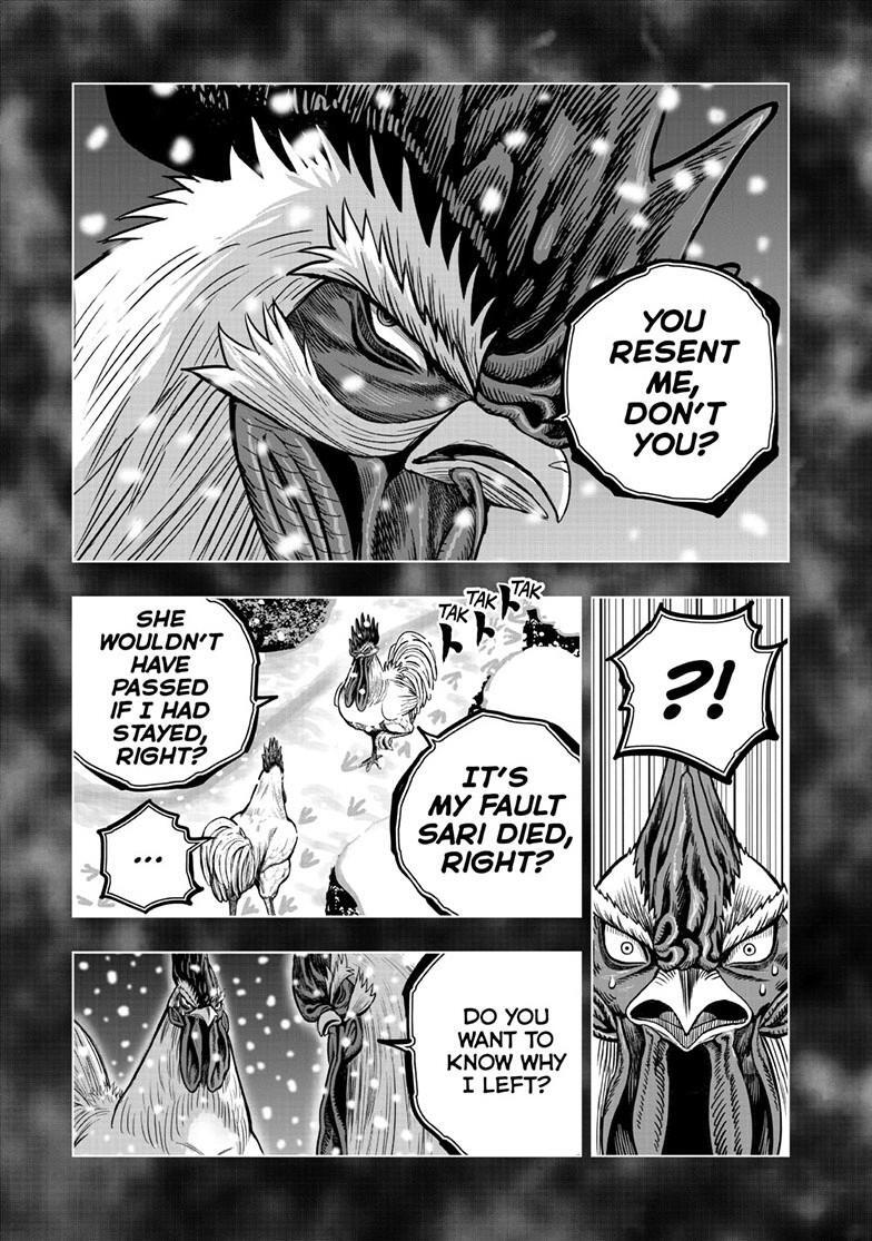 Read Rooster Fighter Manga Online