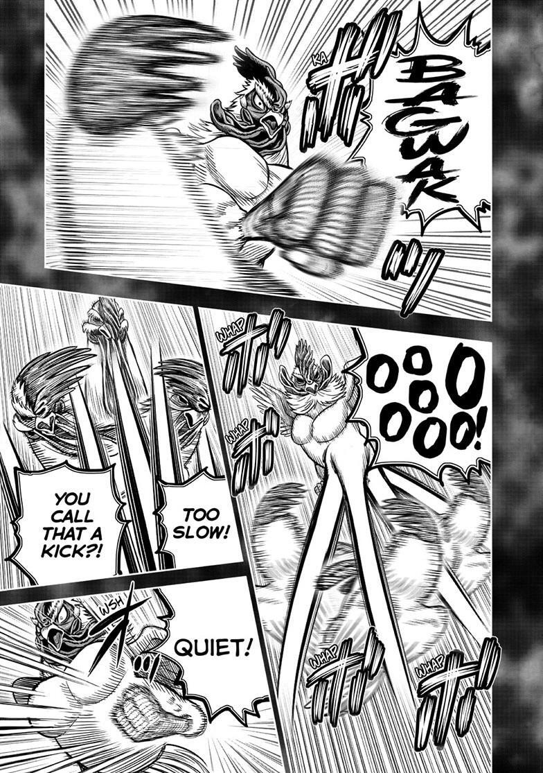Read Rooster Fighter Manga Online
