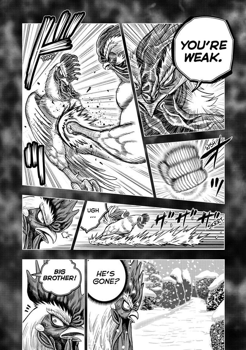 Read Rooster Fighter Manga Online