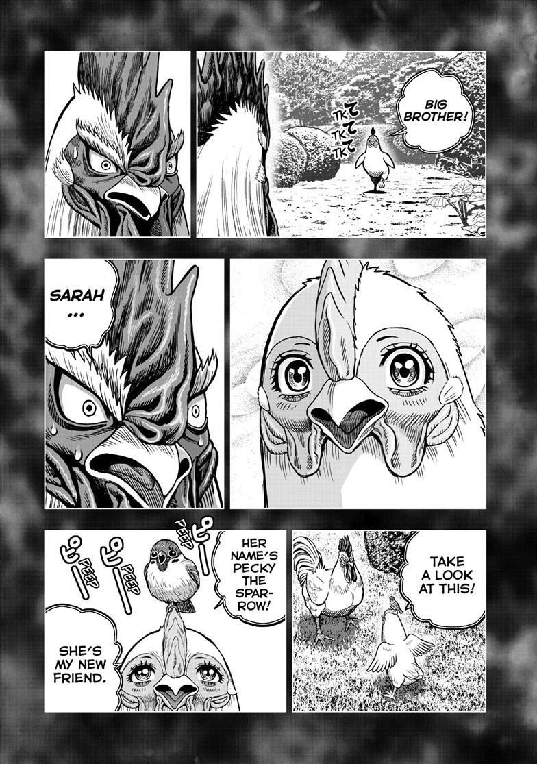 Read Rooster Fighter Manga Online