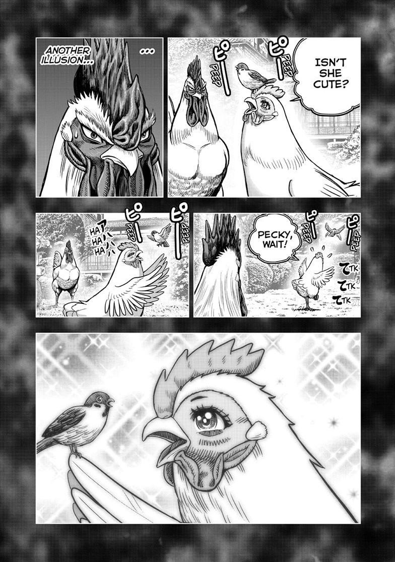 Read Rooster Fighter Manga Online