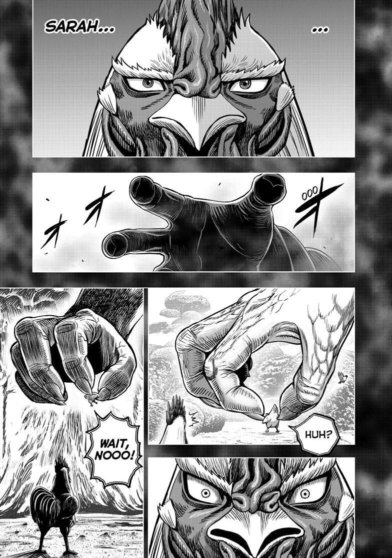 Read Rooster Fighter Manga Online
