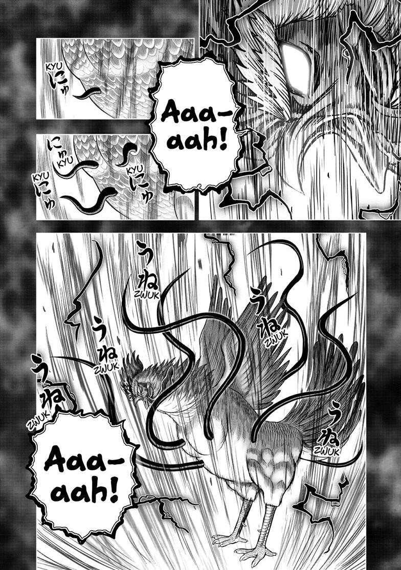 Read Rooster Fighter Manga Online