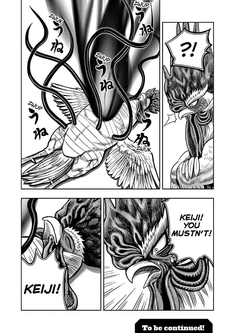 Read Rooster Fighter Manga Online
