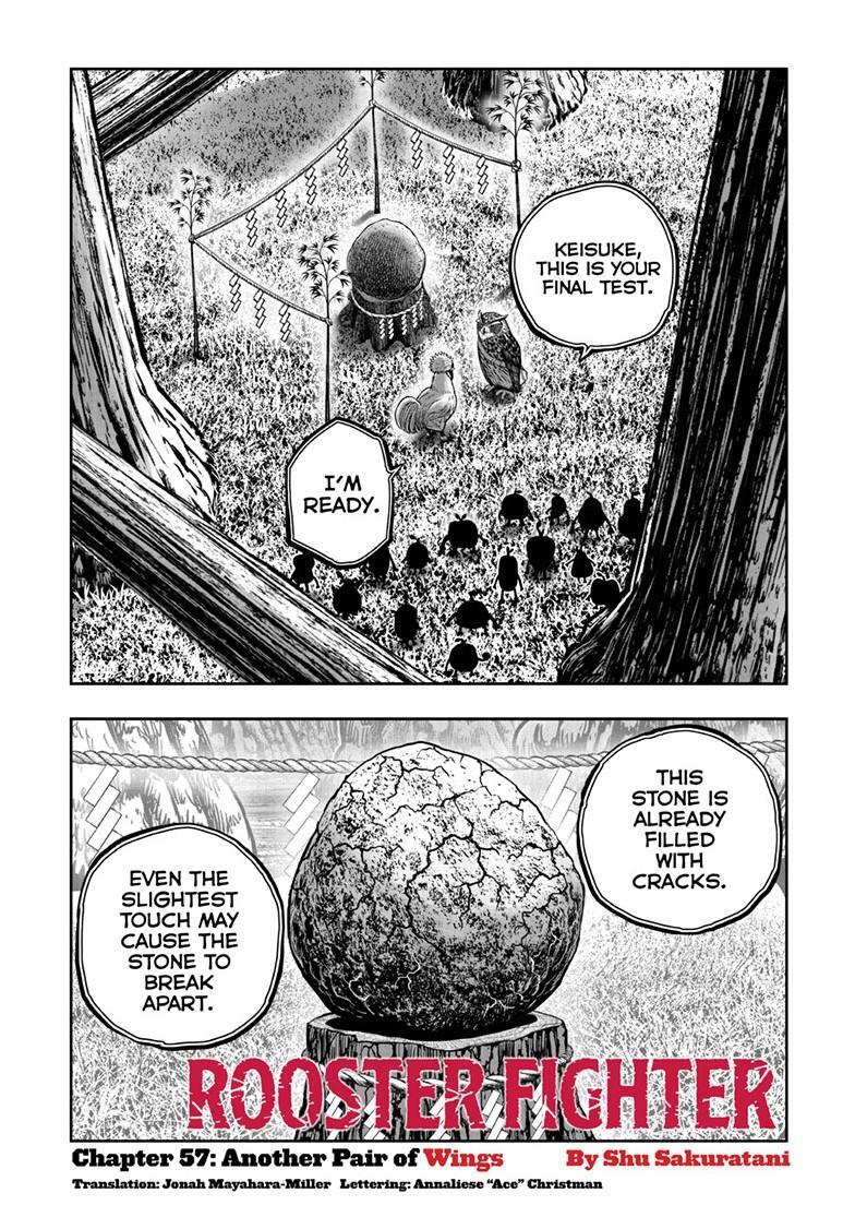 Read Rooster Fighter Manga Online
