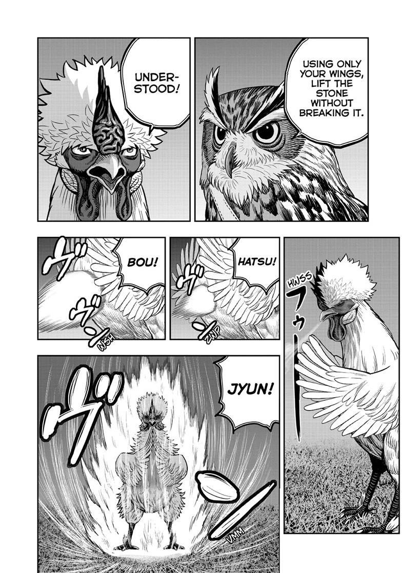 Read Rooster Fighter Manga Online