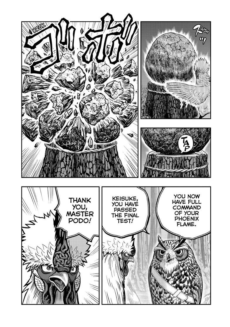 Read Rooster Fighter Manga Online