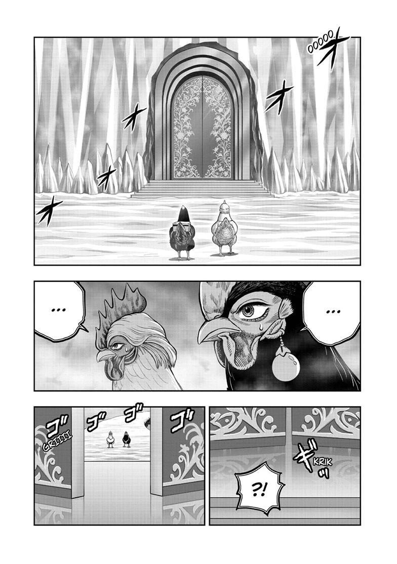Read Rooster Fighter Manga Online