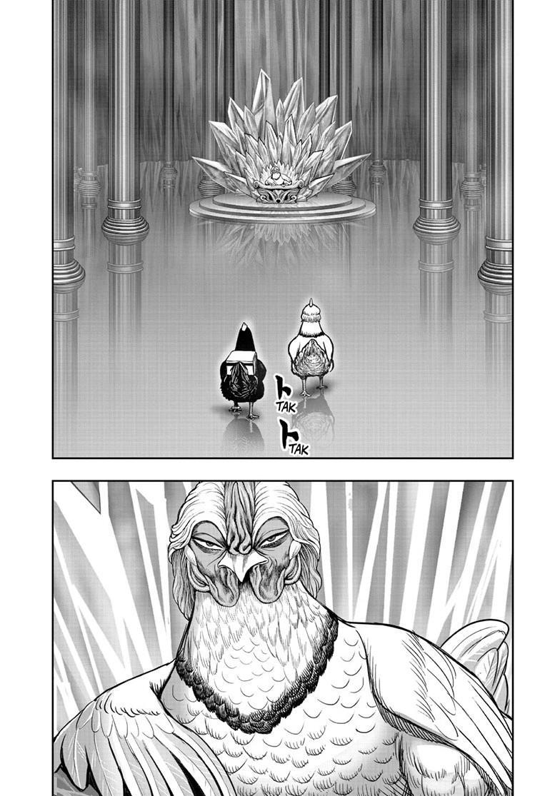 Read Rooster Fighter Manga Online