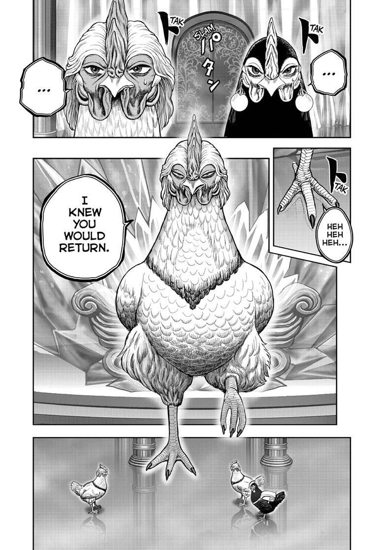 Read Rooster Fighter Manga Online
