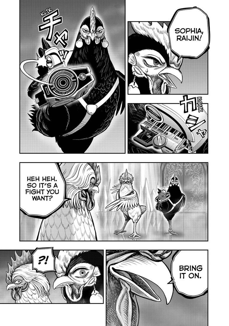 Read Rooster Fighter Manga Online