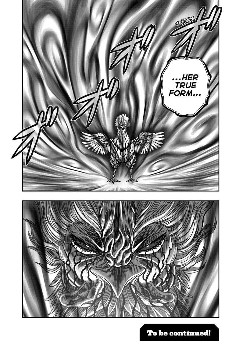 Read Rooster Fighter Manga Online