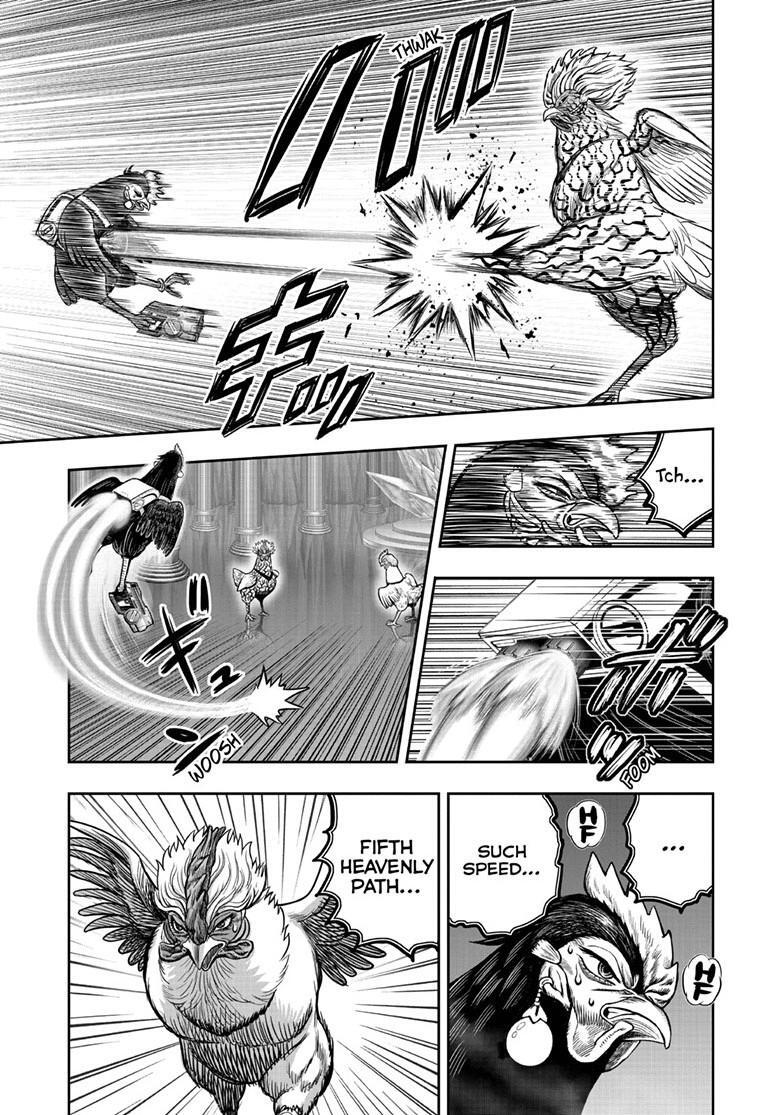 Read Rooster Fighter Manga Online