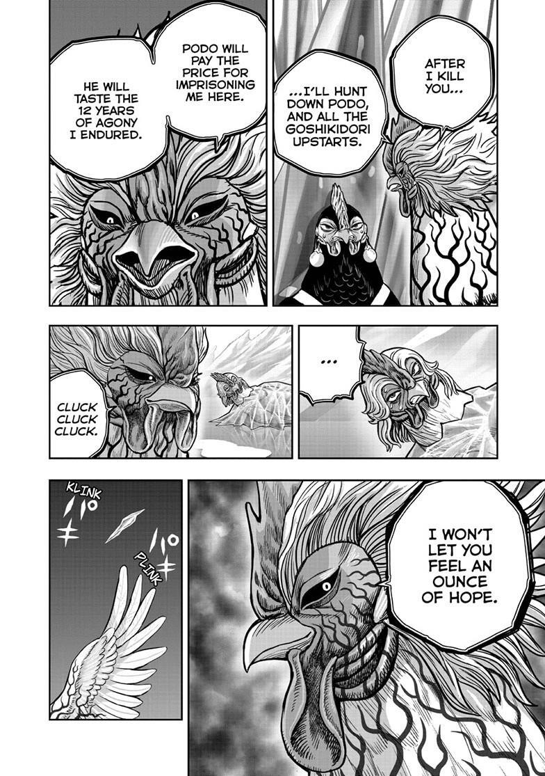 Read Rooster Fighter Manga Online