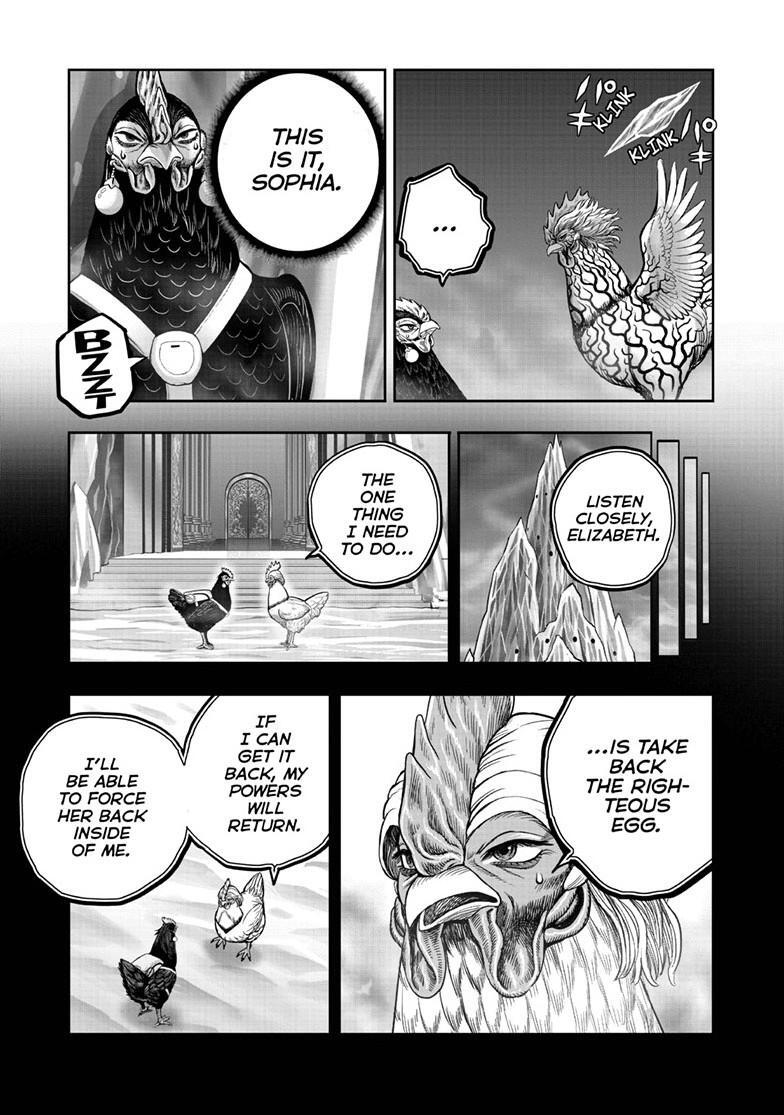 Read Rooster Fighter Manga Online