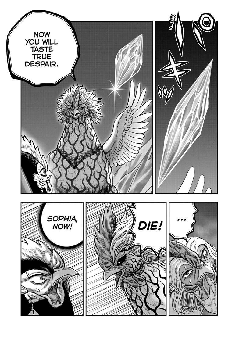 Read Rooster Fighter Manga Online