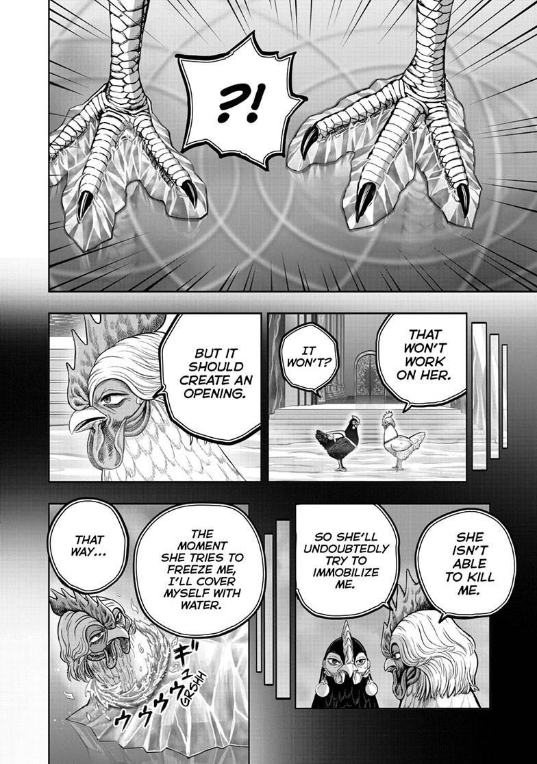 Read Rooster Fighter Manga Online