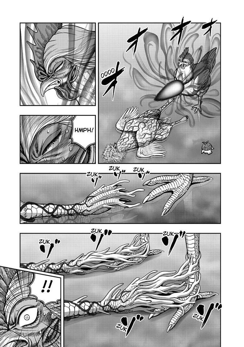 Read Rooster Fighter Manga Online