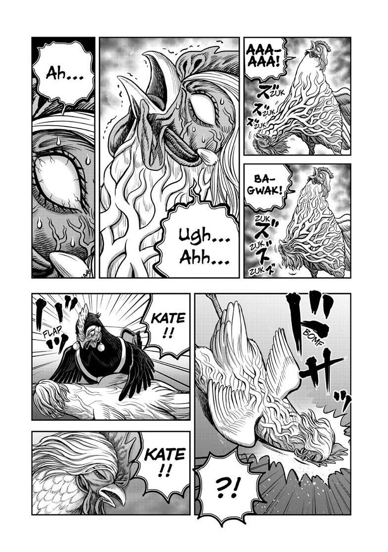 Read Rooster Fighter Manga Online