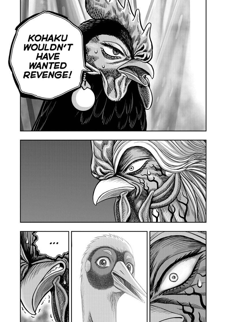 Read Rooster Fighter Manga Online