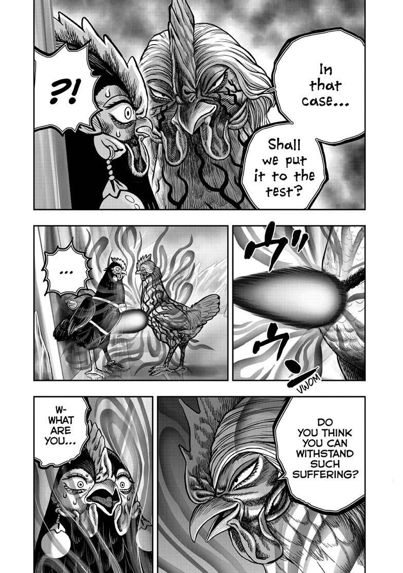 Read Rooster Fighter Manga Online