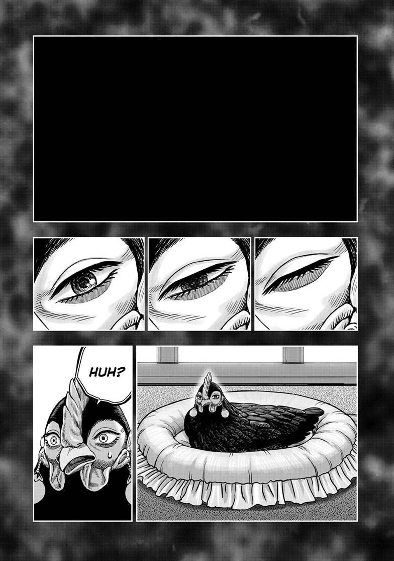 Read Rooster Fighter Manga Online