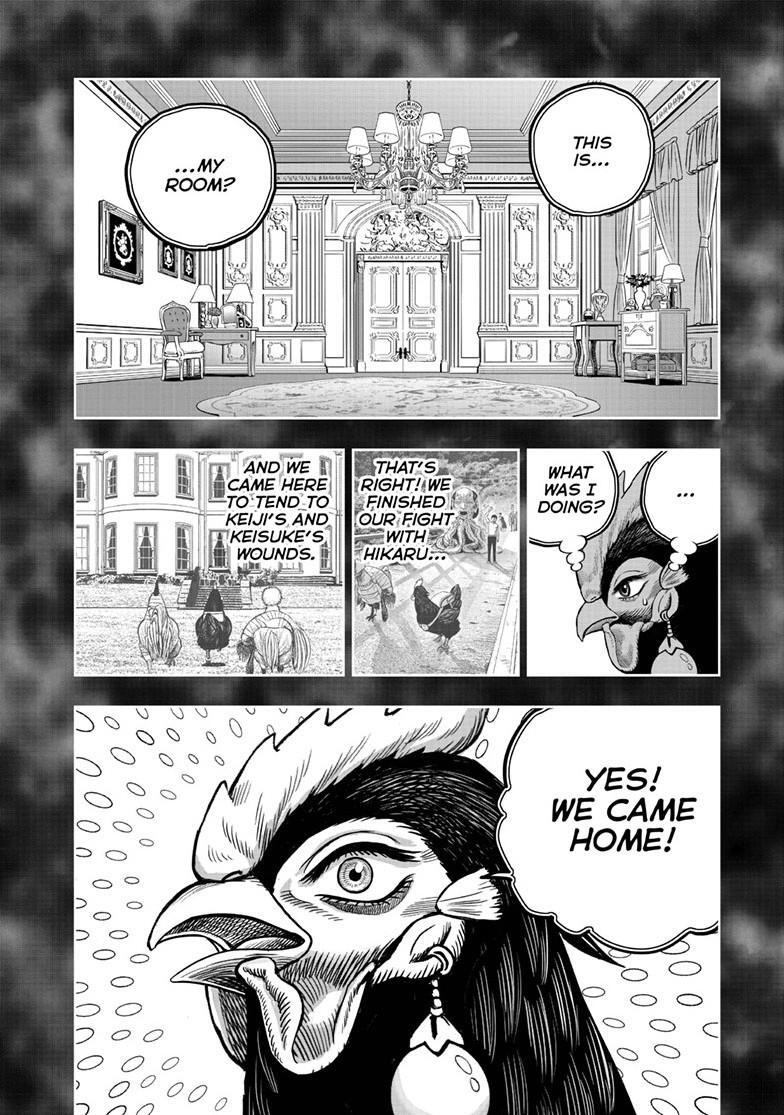 Read Rooster Fighter Manga Online