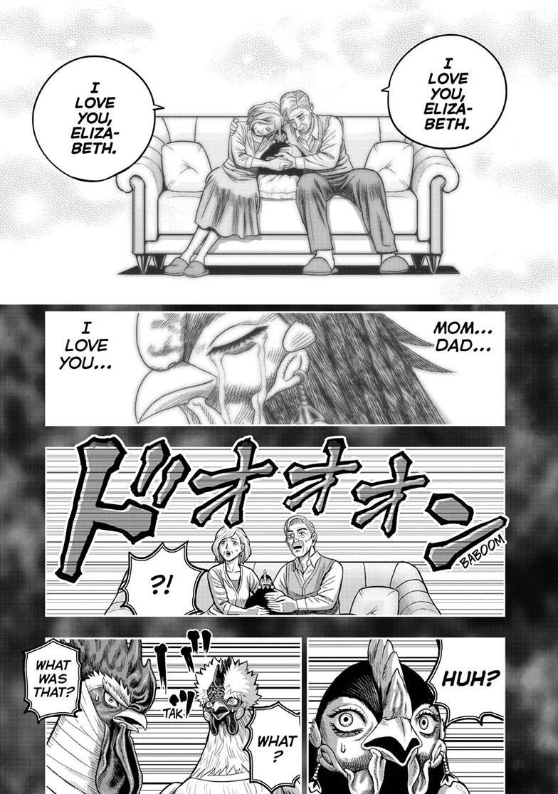 Read Rooster Fighter Manga Online