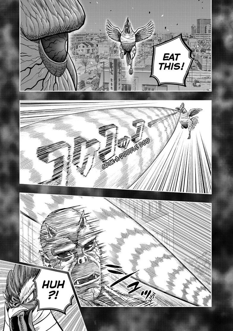 Read Rooster Fighter Manga Online
