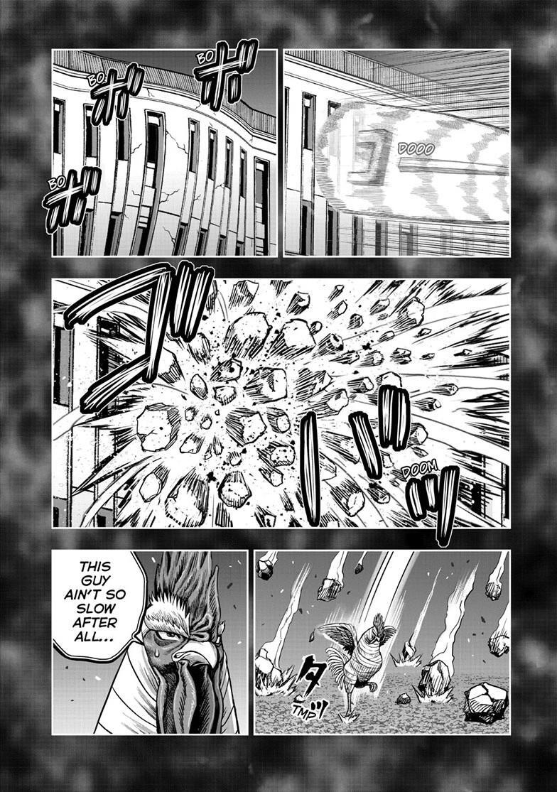 Read Rooster Fighter Manga Online