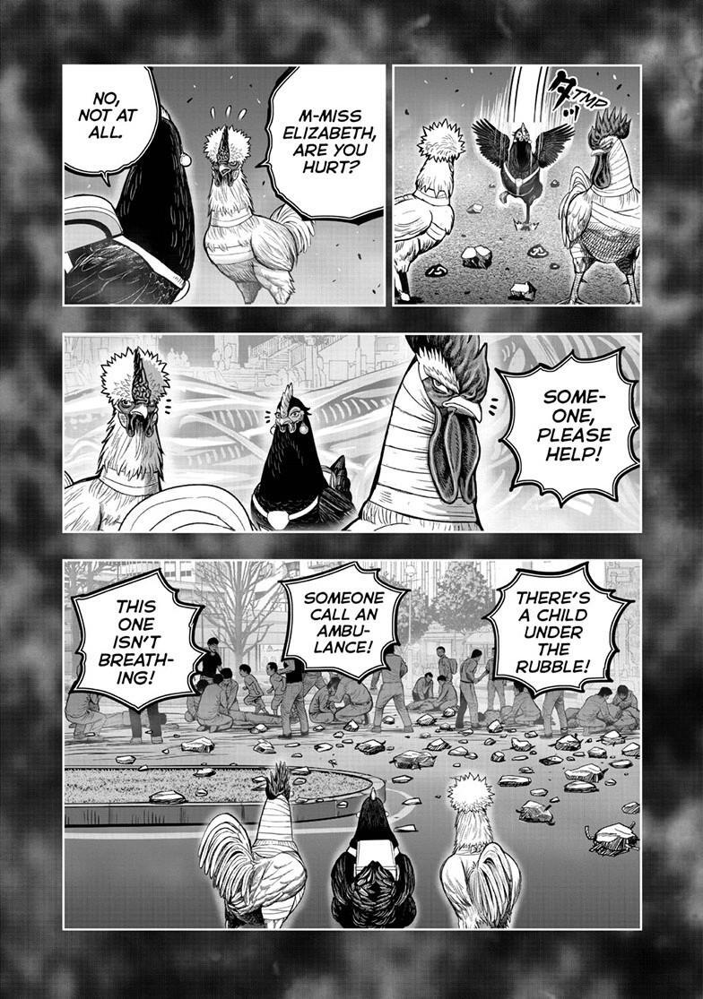 Read Rooster Fighter Manga Online