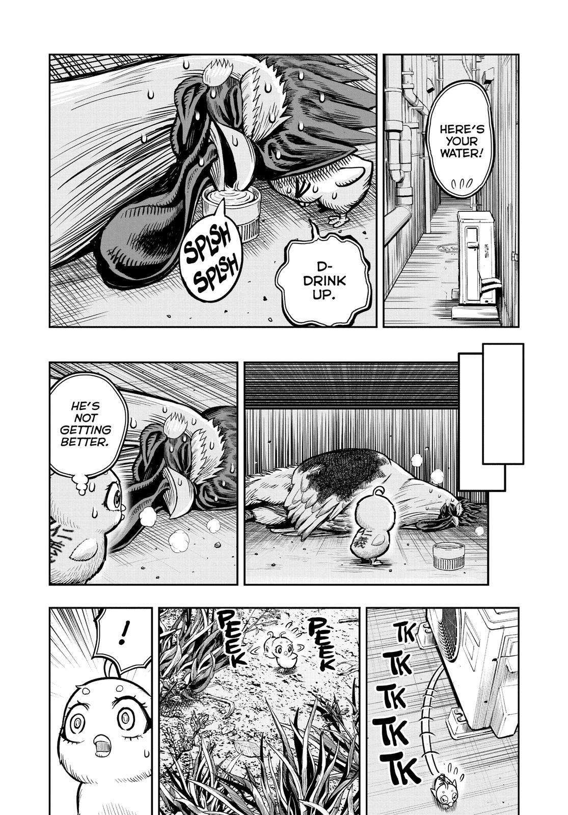 Read Rooster Fighter Manga Online