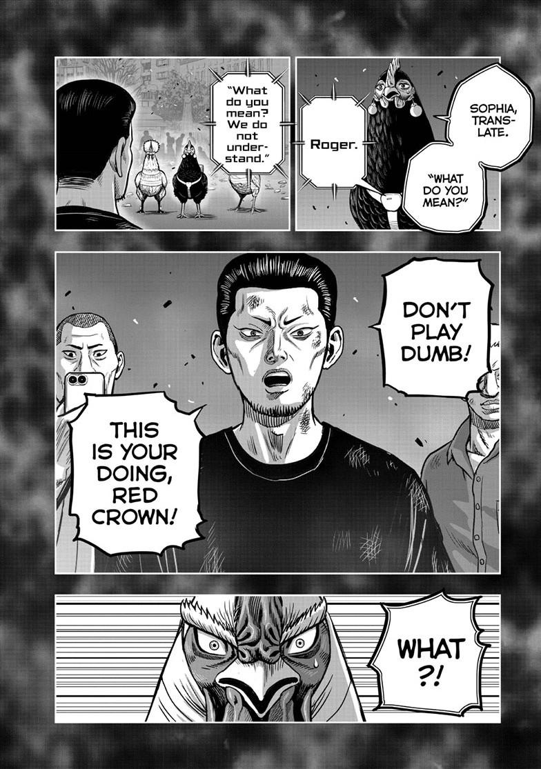 Read Rooster Fighter Manga Online