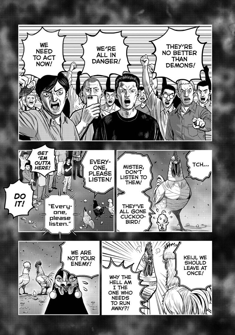 Read Rooster Fighter Manga Online