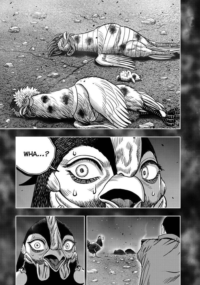 Read Rooster Fighter Manga Online