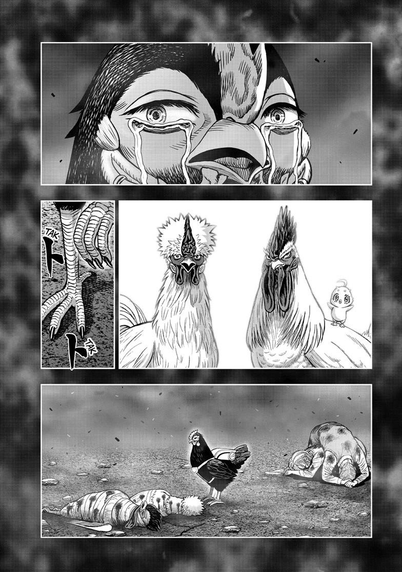 Read Rooster Fighter Manga Online
