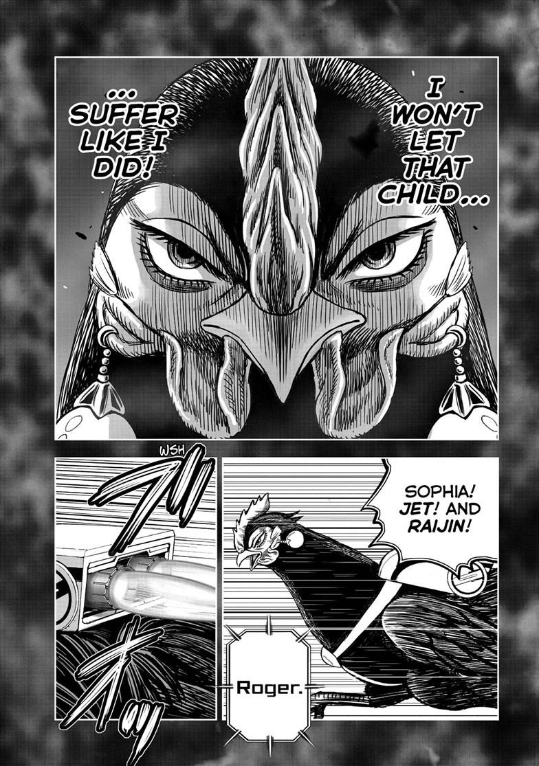 Read Rooster Fighter Manga Online