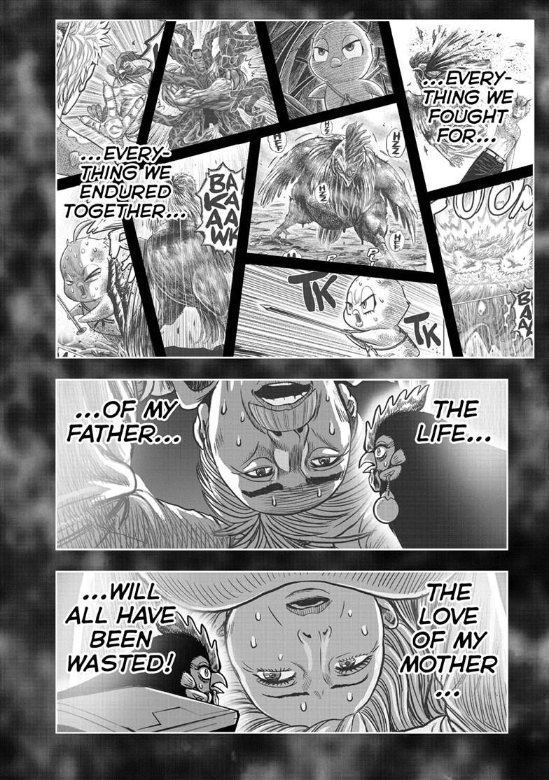 Read Rooster Fighter Manga Online