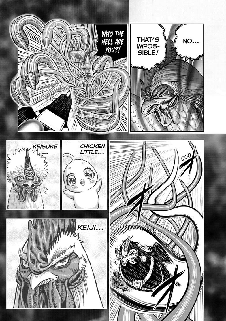 Read Rooster Fighter Manga Online