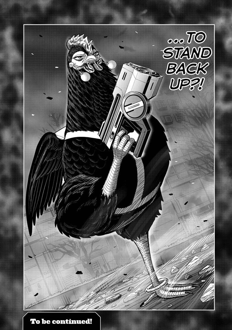 Read Rooster Fighter Manga Online