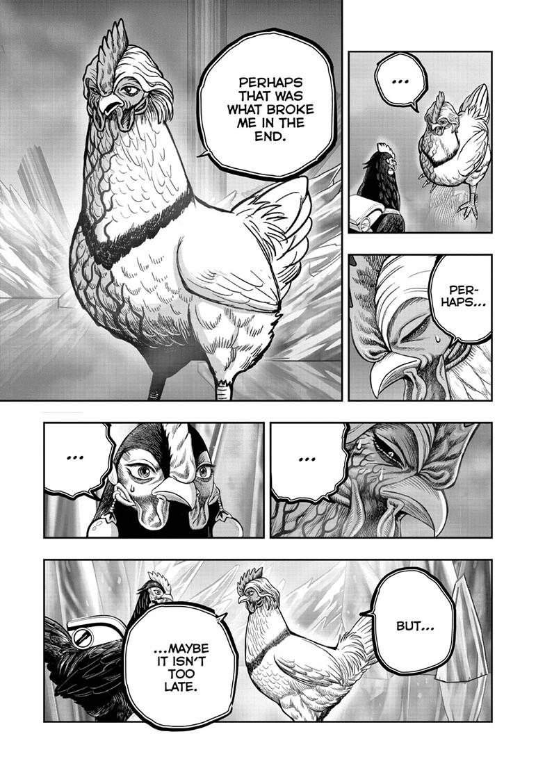 Read Rooster Fighter Manga Online
