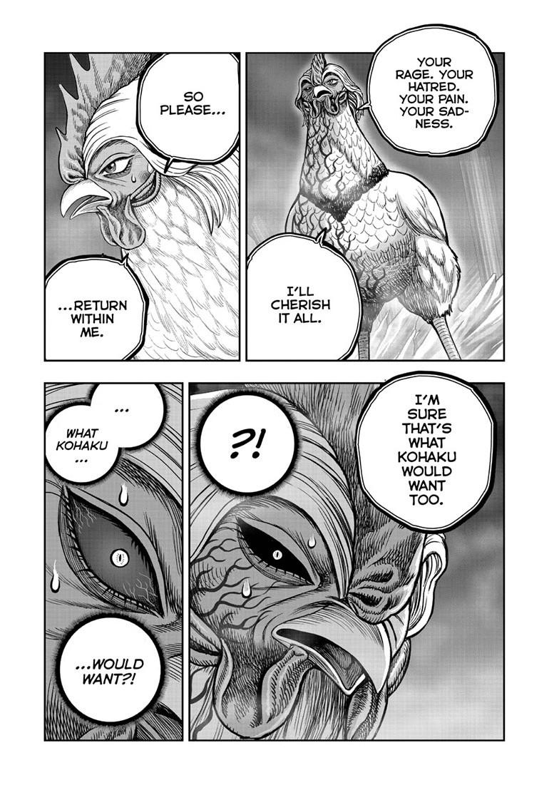 Read Rooster Fighter Manga Online