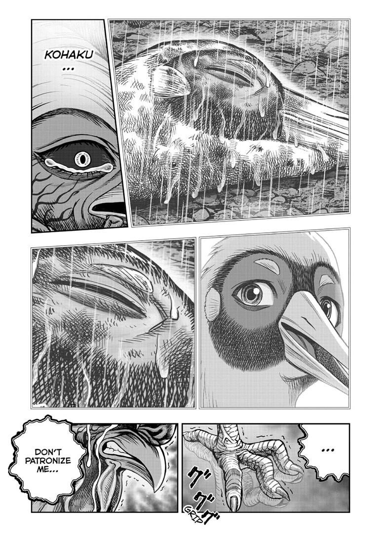 Read Rooster Fighter Manga Online