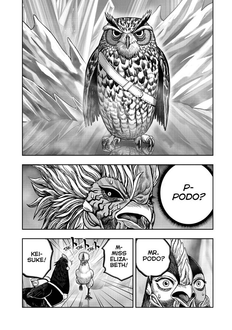 Read Rooster Fighter Manga Online