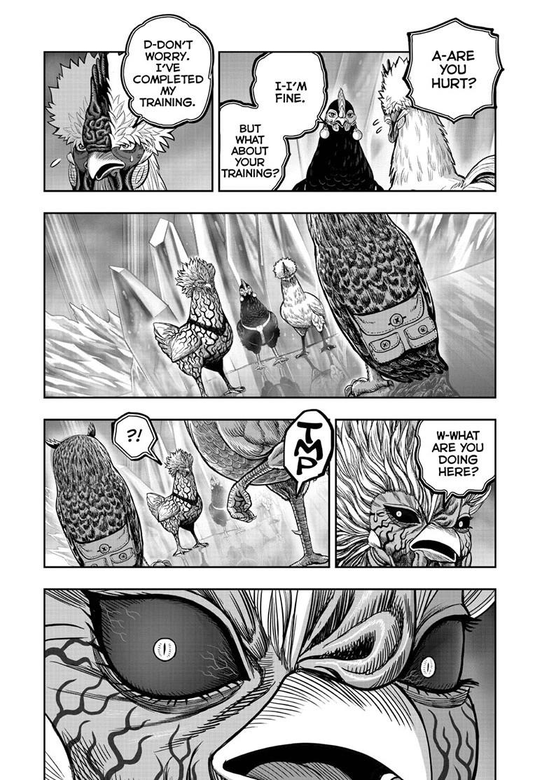 Read Rooster Fighter Manga Online