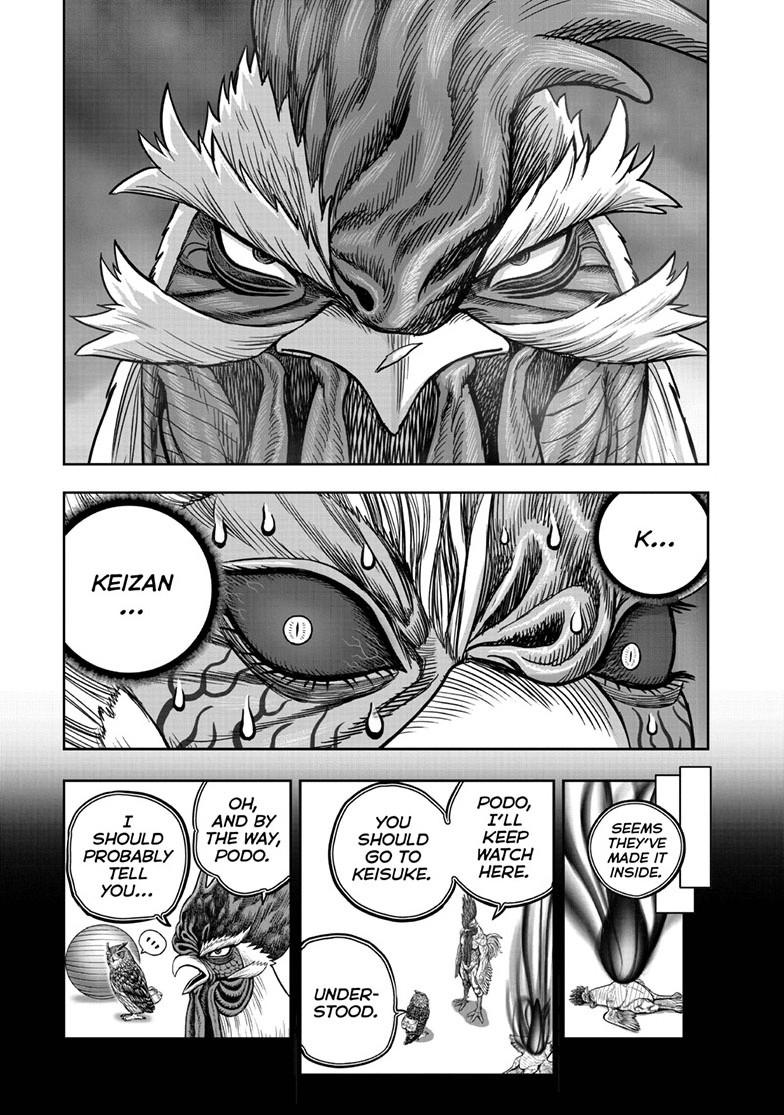 Read Rooster Fighter Manga Online