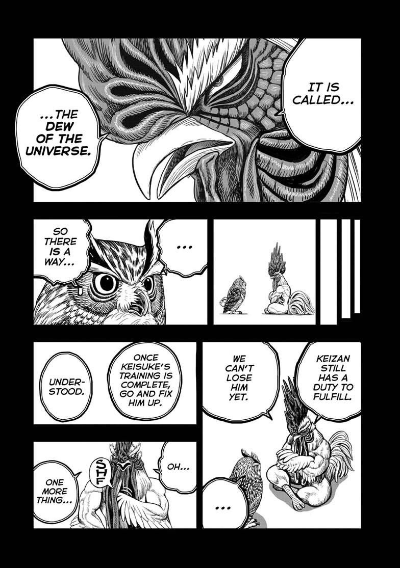 Read Rooster Fighter Manga Online