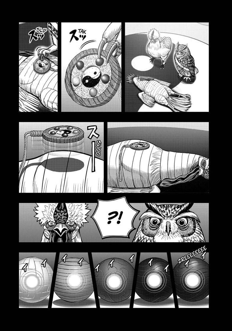 Read Rooster Fighter Manga Online